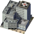 Large Medical Center.png